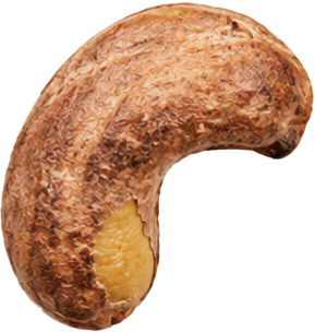 Noix de cajou marron avec peau 1