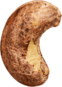 Noix de cajou marron avec peau 3