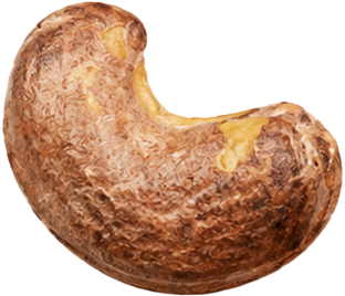 Noix de cajou marron avec peau 5